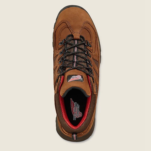 Vandrestøvler Herre - Red Wing Truhiker - 3-Inch Waterproof Safety Toe - Brune - TOSHVB-851